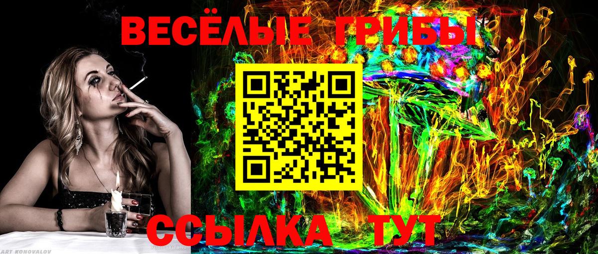 Псилоцибиновые грибы прущие грибы Назарово